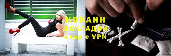 мяу мяу мука Зерноград
