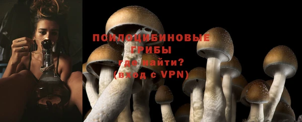 2c-b Зеленокумск